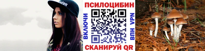 где купить   Собинка  Галлюциногенные грибы ЛСД 